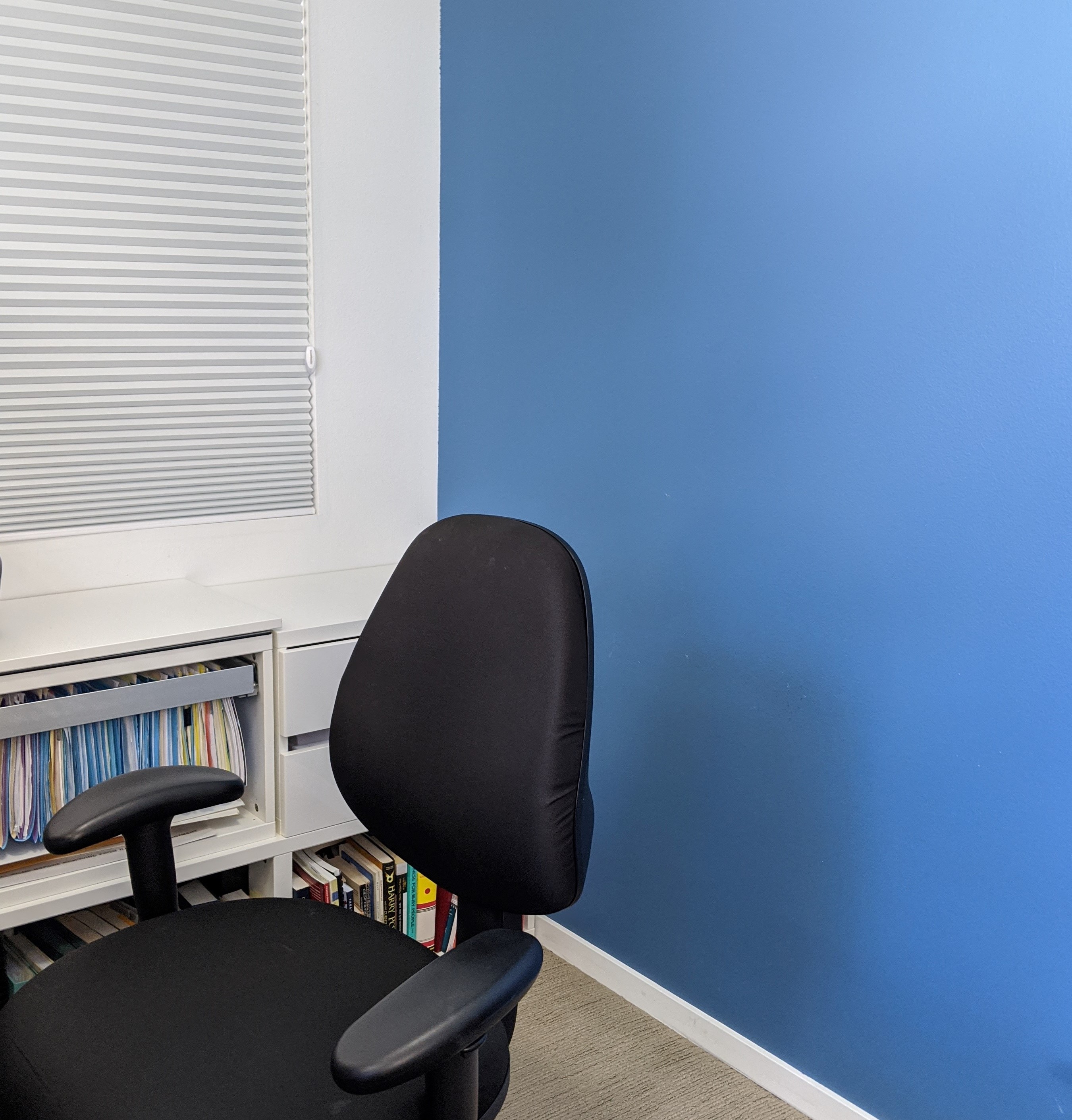 Backdrop of home office. Cornflower blue wall with a black office chair.